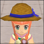 装備画像(共通)