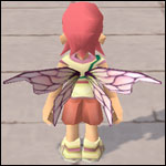 装備画像(共通)