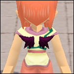 装備画像(共通)