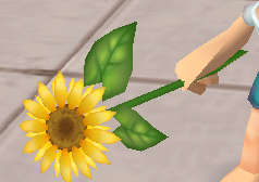 装備画像(共通)