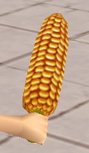 装備画像(共通)