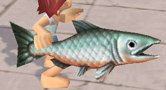 装備画像(共通)