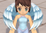 装備画像(共通)