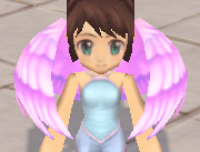 装備画像(共通)