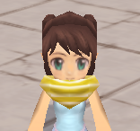 装備画像(共通)