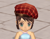 装備画像(共通)