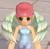 装備画像(共通)