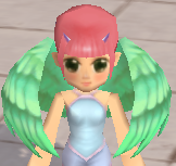 装備画像(共通)