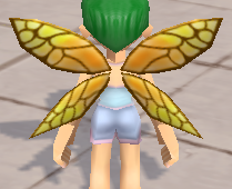 装備画像(共通)