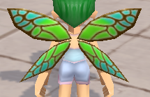 装備画像(共通)