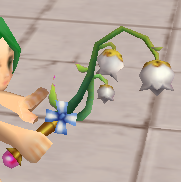 装備画像(共通)