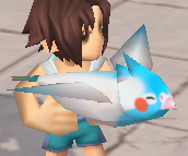 装備画像(共通)