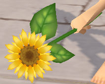 装備画像(共通)